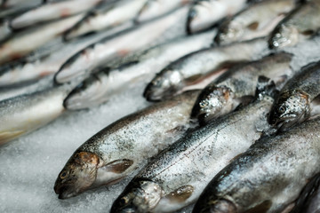 Fresh fish in market