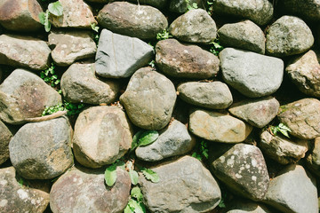 Dry Conglomerate blackground and textures