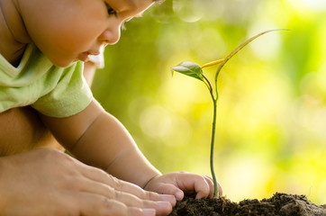 Close up Kid hand and father planting young tree