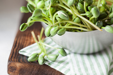 Fresh green soybean sprouts in metal bowl