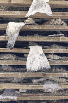 Salted cod dried on wooden racks