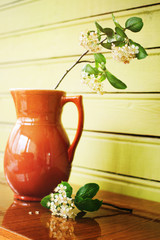 Jasmine branch in the jug