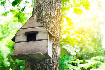 House of bird at the tree ,a little home for animal