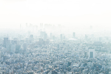 Tokyo City Smoggy Landscape