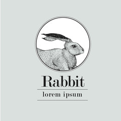 Fototapeta premium Hand drawn rabbit logo template. Vector vintage illustration.