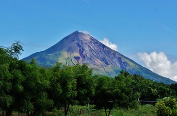 Fototapeta premium Le Conception