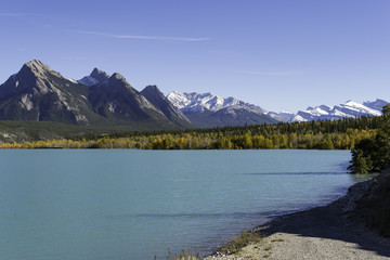 Fall colors along the shores of Abraham Lake on the David Thompson Highway 11