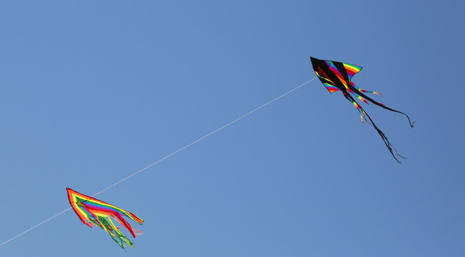 Two huge kites fly in the sky in the summer