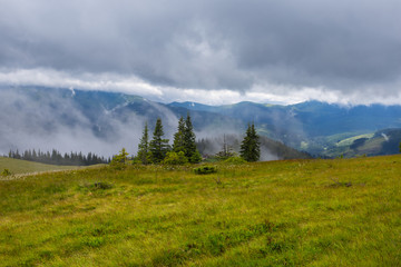 Fototapeta na wymiar quiet mountain valley in a mist