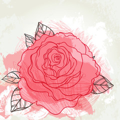 Beautiful roses bouquet drawing on beige grunge background. Hand drawn vector highly detailed line art illustration over watercolor painted texture.