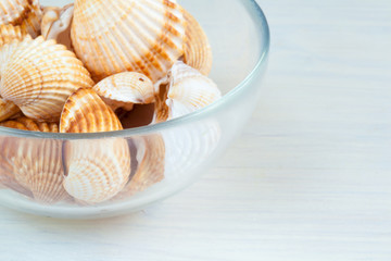 Seashells (acanthocardia tubercolata) in a bowl