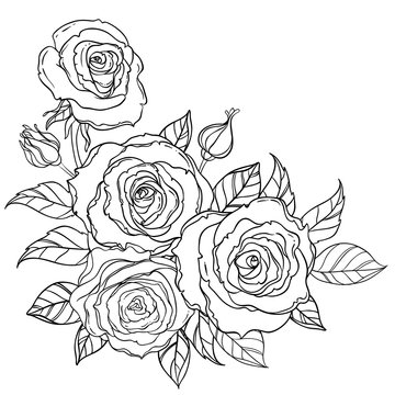 Black and white tattoo style roses with leaves isolated on white background. Vector illustrations. Romantic wedding elements. Valentine's day.