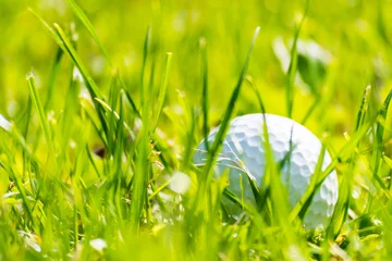 Poster Golf ball lost in grass © Jan Rozehnal