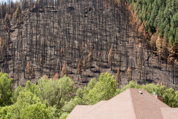 Rooftop near the destruction from a forest fire