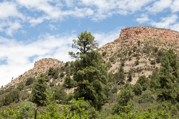 Matching Twin Buttes in Durango, Colorado