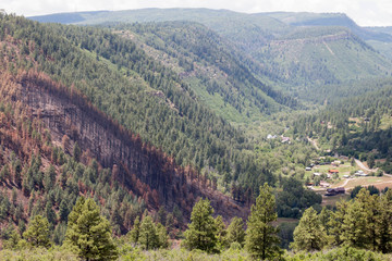 Lightner Creek valley with forest fire damage