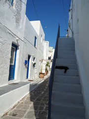 Naklejka premium OLYMPUS DIGITAL CAMERA