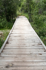 Fototapeta na wymiar Wood bridge over a stream with diminishing perspective