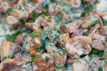 chantarelle mushroom sauce