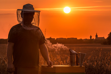 Imker am Bienenstock zum Sonnenuntergang - Sonne neben dem Kopf - Silhouette im Gegenlicht