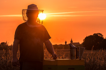 Imker am Bienenstock zum Sonnenuntergang - Sonne hinter dem Kopf - Silhouette im Gegenlicht