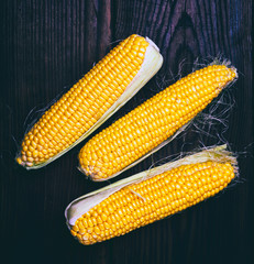 Pile of fresh corn cobs