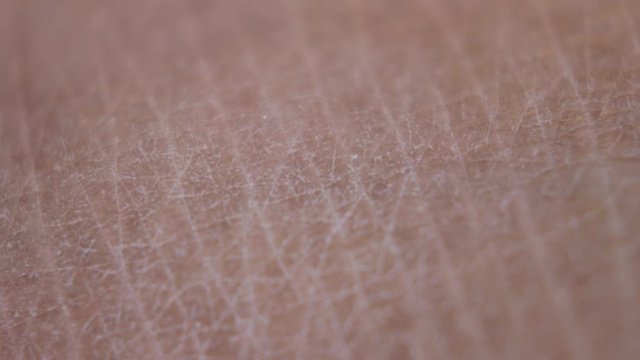 Close up of Human Skin Texture 
