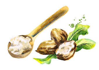 Shea butter in the spoon and nuts