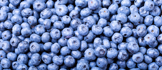 fresh blueberries as background