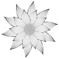 Doodle Sunflower Isolated on White Background - Vector Illustration.