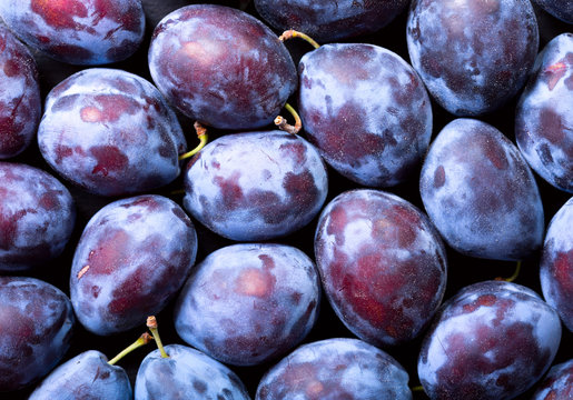 fresh blue plums