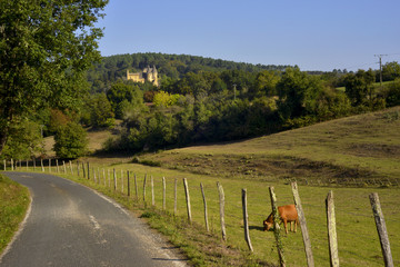 Obraz premium Route de campagne du Périgord aux environs de Sarlat-la-Canéda (24200), département de la Dordogne en région Nouvelle-Aquitaine, France
