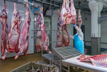 cutting meat slaughterhouse workers in a meat factory.