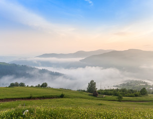 Beautiful sunny day is in mountain landscape. Carpathian, Ukraine.