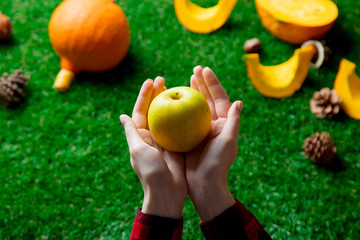 Female hands and pumpkin with apple and pine cones