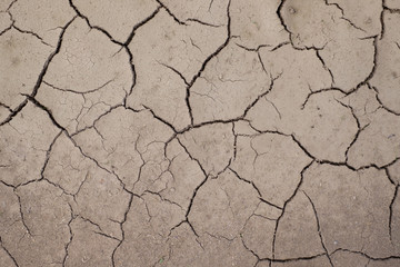 Cracked and barren ground.