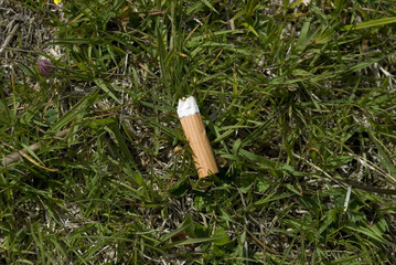 A cigarette butt / filter thrown into a green meadow in high mountains, polluting the nature and the environment, trentino alto adige, italy © Angela