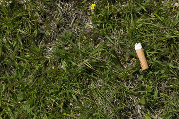 A cigarette butt / filter thrown into a green meadow in high mountains, polluting the nature and the environment, trentino alto adige, italy