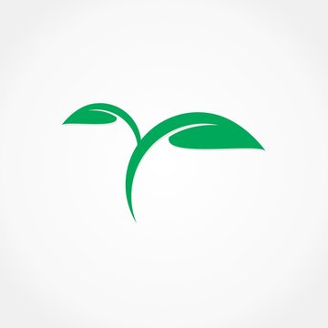 abstract Y leaf logo