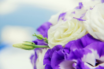 Obraz premium Wedding floristry, The bride is holding a bouquet, the bride's bouquet, Bride with bouquet, wedding day