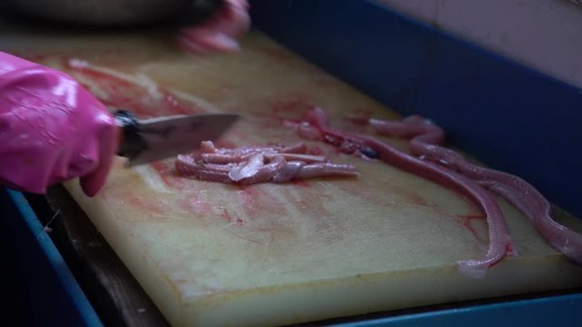 4k Prepping inshore hagfish for grilling, knife cut behind the head and remove the skin off a live eel in a restaurant at Jagalchi Fish Market Busan, South Korea-Dan