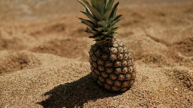 Beautiful pineapple on sandy beach on ocean shore in sunny day. Ripe exotic fruit with green tip and juicy yellow flesh lies on unsteady coast of picturesque island that is washed by turquoise waves