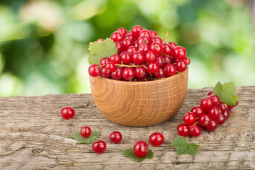 Red currant berries in wooden bowl on wooden table with blurry garden background