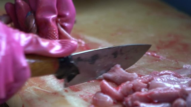 Slow motion prepping inshore hagfish for grilling, knife cut behind the head and remove the skin off a live eel in a restaurant at Jagalchi Fish Market Busan, South Korea-Dan