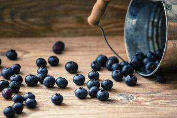 Blaubeeren I