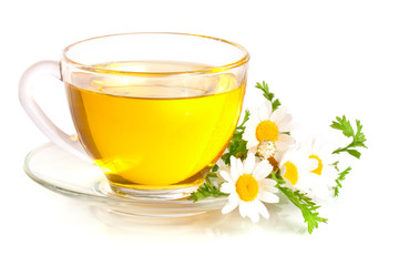 Herbal tea with fresh chamomile flowers isolated on white background