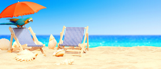 Schöner Strand mit Papagei auf dem Liegestuhl - Urlaub Konzept
