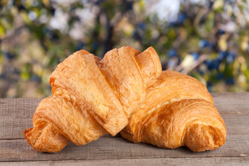two croissant on a wooden board with a blurry garden background