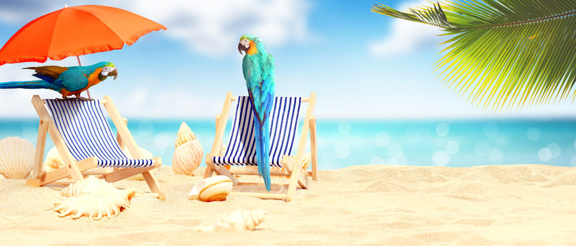 Sch&ouml;ner Strand mit Liegest&uuml;hlen - Urlaub Konzept
