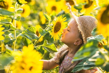 Naklejka premium beautiful little girl in sunflowers